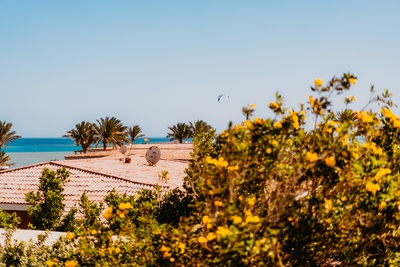 KiteWorldWide Kitesurfen Ägypten Seahorse Bay Kiteclub