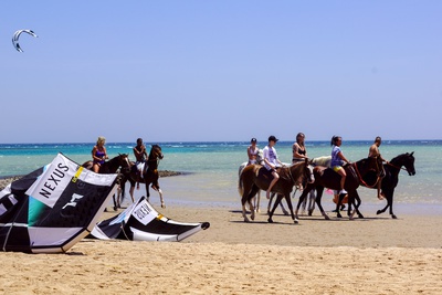 KiteWorldWide Kitesurfing Egypt Horseback riding