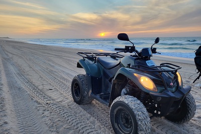 KiteWorldWide Kitesurfing Morocco Dakhla Wildlife