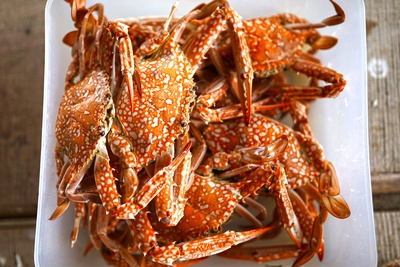 KiteWorldWide Kitesurfen Sri Lanka Essen Verpflegung