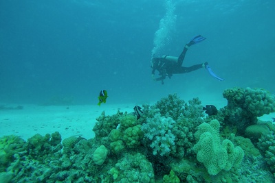 Women in Action - Seahorse Bay