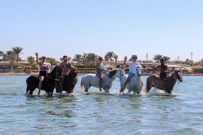 Women in Action - Seahorse Bay